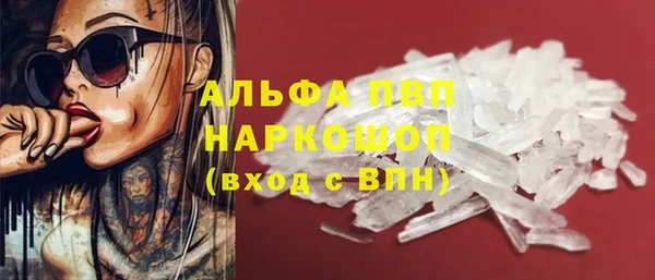 индика Балабаново