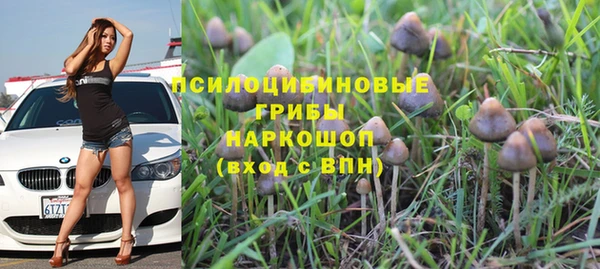 амф Балахна