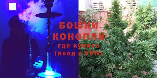крисы Аркадак