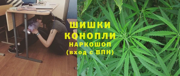 крисы Аркадак