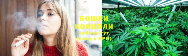 индика Балабаново